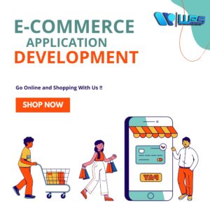 ecommerce application development